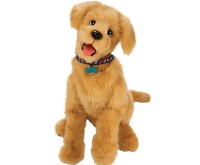 Furreal Biscuit